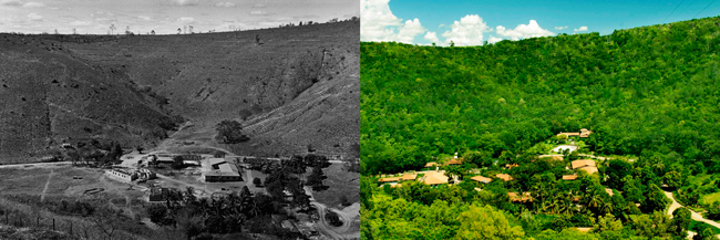 The Private Reserve of Natural Heritage Fazenda Bulcão, in 2000 and in 2012